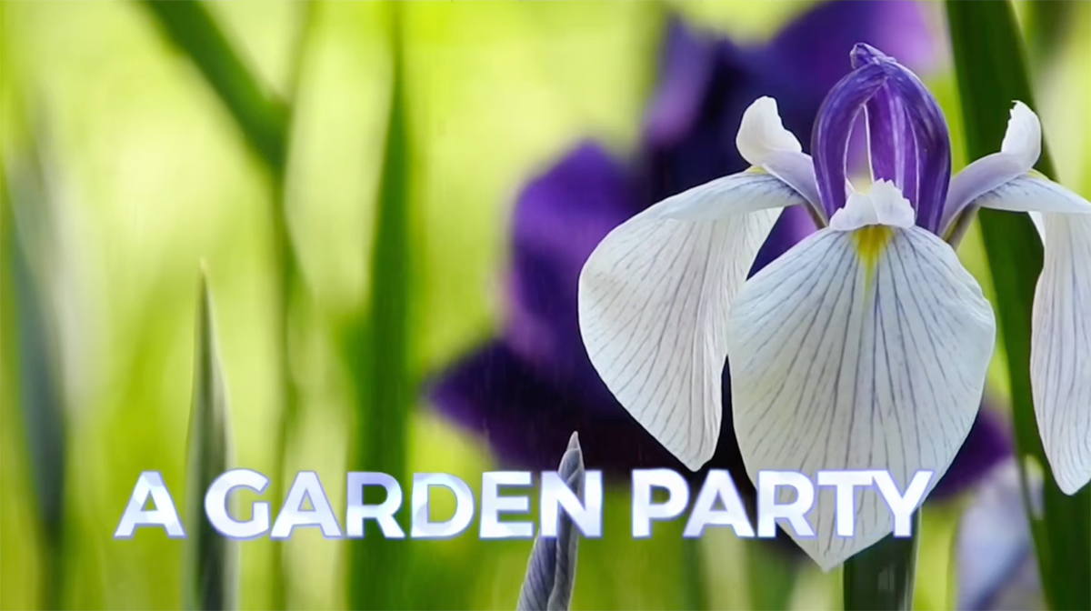A Garden Party for all seasons