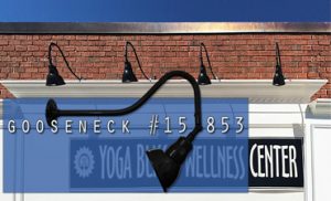 whats the Buzzzzz! in Islip, NY? Gooseneck #15/853 is the Buzzzzz!