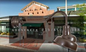 What's the Buzzzzz! in N Cambridge, MA? Primeltie Gooseneck #19/850 SBP is the Buzzzzz!