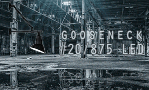 gooseneck #20/875 LED series