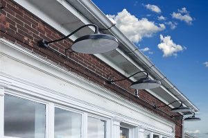 Whats the Buzz? Pittsfield, MA? Again