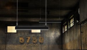 linear light pendant #5750 LED