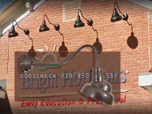 What's the Buzzzzz! in N Cambridge, MA? Primeltie Gooseneck #19/850 SBP is the Buzzzzz!