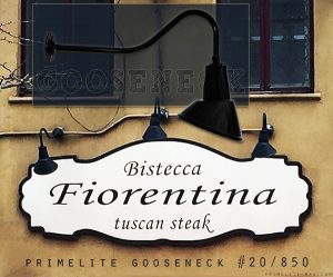 Whats the Buzzzzz! Fiorentina