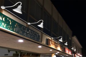 Whats the Buzz? Garden City, NY? Gooseneck Light #20/850 is the Buzz.