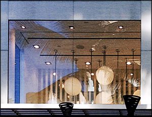 Primelite #478/3S is the buzzzzz!