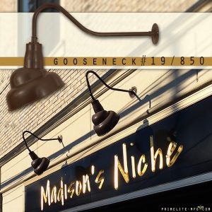 What is the Buzzzzz! in Huntington, NY? Primelite Gooseneck #19/850 is the Buzzzzz????!