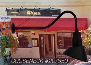 What's the Buzzzzz! in Montclair, NJ? Gooseneck #20/850 i the buzzzz!