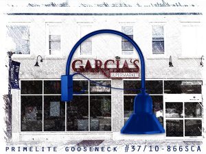 Whats the Buzzzzz! in Middletown NY