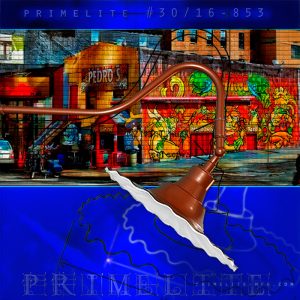 Whats the Buzzzzz!? Gooseneck #30/16-853 is the Buzzzzz!