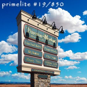 primelite gooseneck 19/850