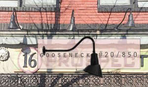 buzzzzz! gooseneck #20/850