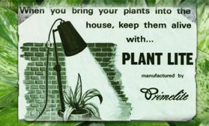 plant lite