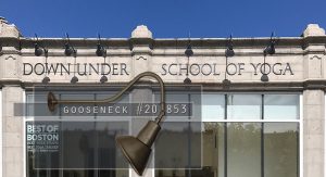 What's the Buzzzzz! in Roslindale, MA? Gooseneck #20/853 is the buzzzzz!